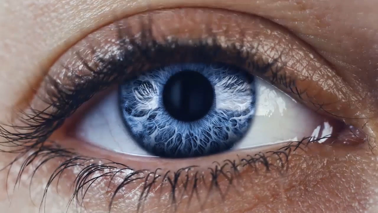 Benvenuto in ZEISS Vision Care